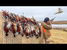 3 Days Pheasant Hunting in South Dakota! (CATCH CLEAN COOK)