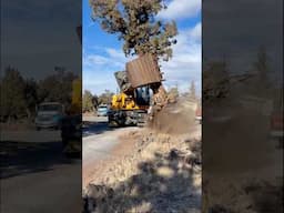 Tearing A Tree Out of The Ground