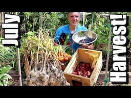 July Vegetable Garden Harvest: Local Food at Its Best! (2019)