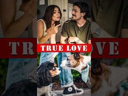 🐶🐶Two Dogs Become Matchmakers for a Hilariously Mismatched Couple ❤‍🔥 #romantic #lucyhale