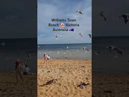 #WILLIAMS TOWN BEACH ⛱️ VICTORIA  AUSTRALIA 🇦🇺