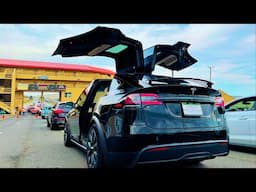 Thoughts on the Tesla Model X Plaid after 6 months of ownership