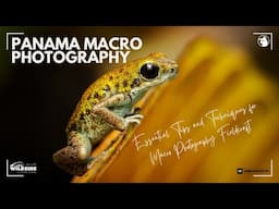 Macro Photography Fieldcraft - Essential Tips & Techniques from Panama