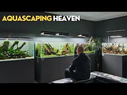 AMAZING AQUASCAPING STORE | Horizon Aquatics🇬🇧