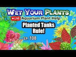 Aquarium plant Q&A and stuff (Wet Your Plants 108)