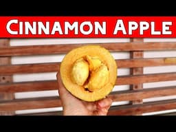 What is a Cinnamon Apple? - Exploring a rare fruit with two distinct flavors