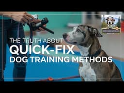 The Truth About Quick Fixes: Why They Fail Busy Dog Owners in the Long Run - Episode #28