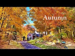 Beautiful Autumn Colors - Countryside Foliage and Cozy Homes in Toronto area Walk 4K