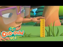 New Park Ranger | Odd-Paw Vets | Amazing Animal Rescues | Cartoons For Kids