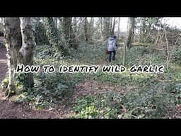 How To Identify Wild Garlic