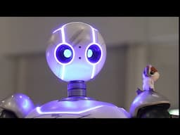 Il Robot Selvaggio | Romics