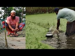 Hunting Fish & Cooking is Great Fun | মাছ ধরা এবং রান্না করা দারুণ মজার বিষয়!😍