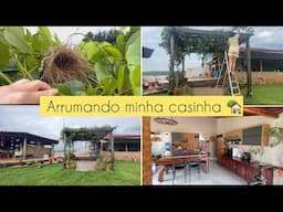 Diário de LIMPEZA 🧼 Minja JADE linda | ORGANIZADO a 🏡 | fazendo ARROZ com PEQUI | FOMOS pra Cidade