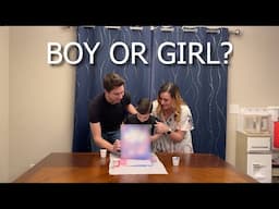 Baby #2 Gender Reveal