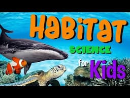 Habitat | Science for Kids