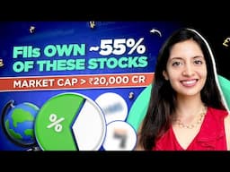 2 stocks with highest FII holdings | Market cap over ₹20,000 Cr