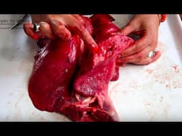 Lung Pluck Gas Exchange Respiratory System Dissection GCSE A Level Biology NEET Practical Skills