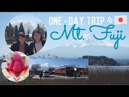 Fun things to do around Mt. Fuji (One-day trip from Tokyo)