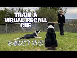 Train a Visual Recall Cue: Deaf Dogs, Aging Dogs, etc...