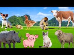 Collection of Fascinating Animal Moments - Pig, Sheep, Cow, Rhino, Cat, Chick - Interesting Animals