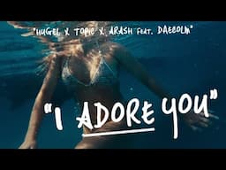 HUGEL x Topic x Arash feat. Daecolm - I Adore You  (Music Video)