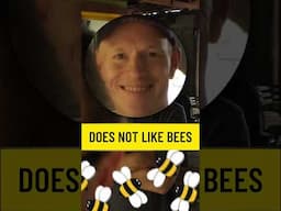 Bees! Bees! Bees!  #musiccover #thepianoguys #bees