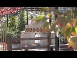 Twain Harte dedicates California's first women veterans monument