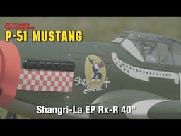 Tower Hobbies P-51B Mustang Shangri-La EP Rx-R