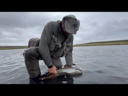 Brown Trout Fishing in ICELAND part 3 Icelandic Elements PRIVATE TOURS