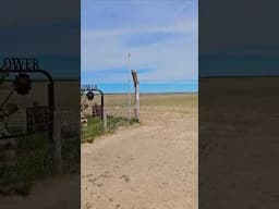 The Highest Point in Kansas | Mount Sunflower