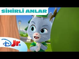 🤖 Robot Kedi Yapıcı | Köpişçiler | Disney Kids Türkiye