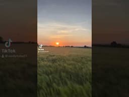 Check out the new video on TikTok!🌅💕