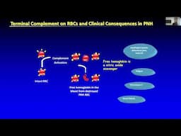 Complementopathies: diagnosis, treatment, and monitoring