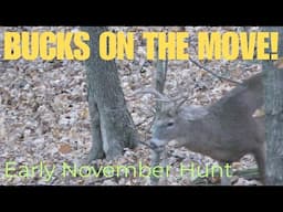 Early November Bow Hunt | Bucks on the Move | Rut Hunting