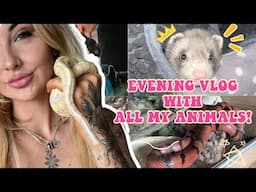 MY NIGHT TIME ROUTINE WITH 40+ PETS! (DOGS, FERRETS, REPTILES & MORE!)