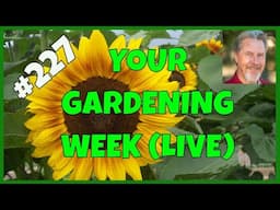 Saving Garden Seeds (Q&A)