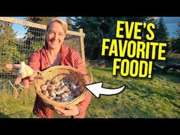 EVE KICHER'S FAVORITE FOOD?