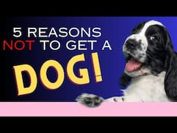 5 Reasons Not to Get a Dog- Dogs 101