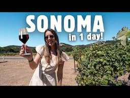 Is Sonoma REALLY better than NAPA? 🍷 Best wineries + things to do in Sonoma!