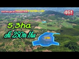 Bán 5,3ha đất nông nghiệp chỉ 250 triệu 1ha 0395507506