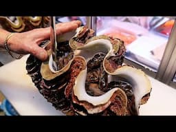 Japanese Street Food - $1000 GIANT RAINBOW LOBSTER & ALIEN CLAM SASHIMI Okinawa Seafood Japan