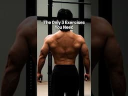 These are the ONLY exercises you need to target your BACK 🫡