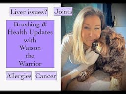 Health Updates & Brushing Watson - Liver, Allergies, Joints, Cancer