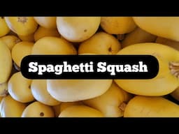 Spaghetti Squash - An Interesting Winter Squash