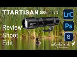 TTartisan 500mm f6.3 Lens  Review - Wildlife Photography