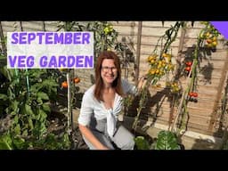 September Vegetable Garden Tour - Allotment Gardening For Beginners UK