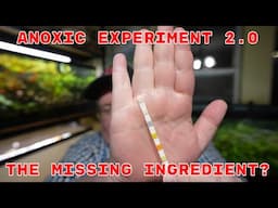 New Anoxic Experiment - The Missing Key?