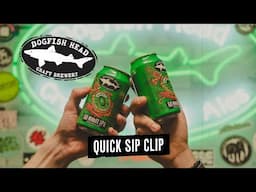 Dogfish Head Quick Sip Clip: 60 Minute IPA