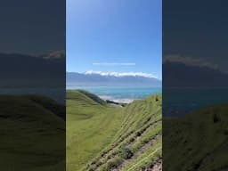 Welcome to Kaikōura, New Zealand 🏔️🌊 #newzealand #bucketlist #travel #ocean #mountains