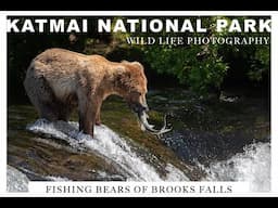 Brooks Falls Grizzly Bear / Bald Eagle | WILDLIFE PHOTOGRAPHY